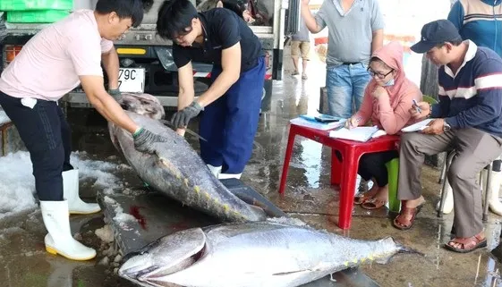 Giá cả thị trường hôm nay 19/7/2022: Cá tra tăng giá, xuất khẩu cá ngừ tăng 1