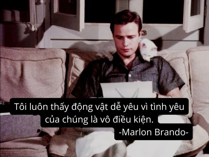 Những câu nói hay của tài tử Marlon Brando 2