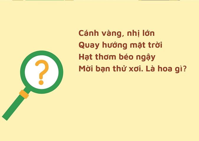 cau-do-cho-be-voh-6