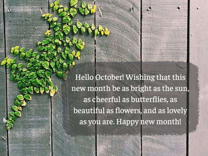 Tổng hợp những câu status tháng 10 chào đón tiết trời cuối thu đầy cảm xúc 7