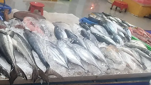 Giá cả thị trường hôm nay 24/7/2022: Giá cả các loại cá 1