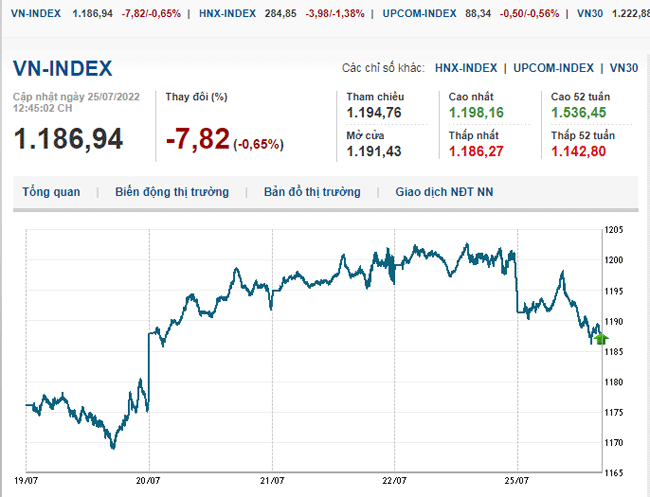 thi-truong-chung-khoan-25-7-2022-voh.com.vn-anh2