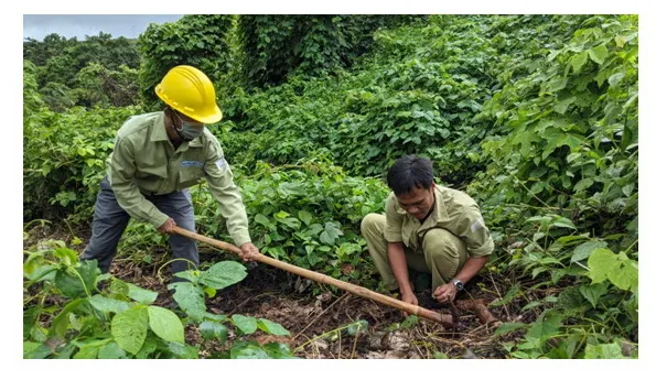Công ty Thủy điện Buôn Kuốp - Góp sức vì người nghèo, tham gia bảo vệ môi trường 2