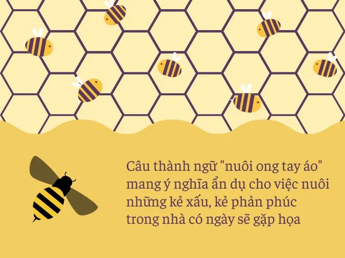 Tìm hiểu ý nghĩa câu thành ngữ ‘nuôi ong tay áo’ 1
