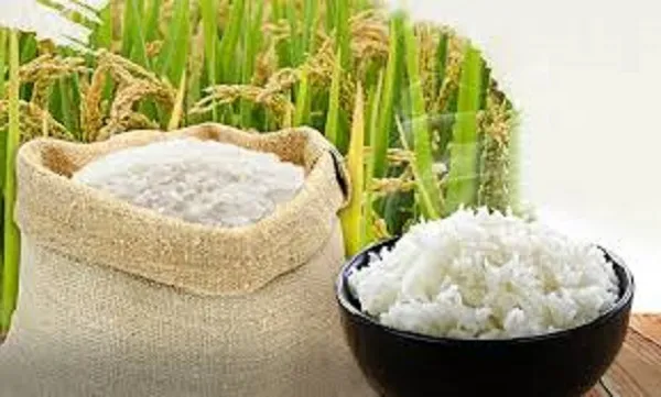 Giá lúa gạo hôm nay 9/8/2022: Giá lúa giảm 100 đồng/kg trên diện rộng 1