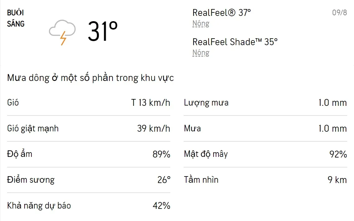 Dự báo thời tiết TPHCM hôm nay 9/8 và ngày mai 10/8/2022: Sáng chiều có mưa dông rải rác 1