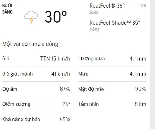 Dự báo thời tiết TPHCM hôm nay 10/8 và ngày mai: Cả ngày có mưa rào rải rác 4