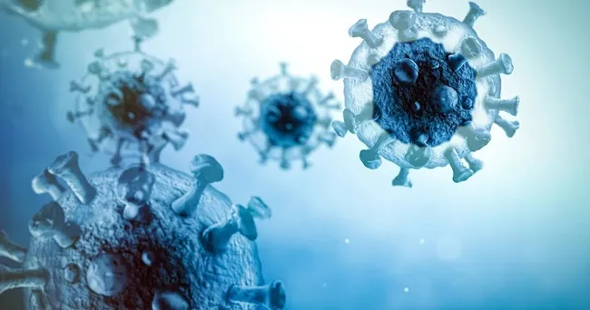 Một loại virus mới nguy hiểm được phát hiện ở Trung Quốc, đã có 35 ca nhiễm 1