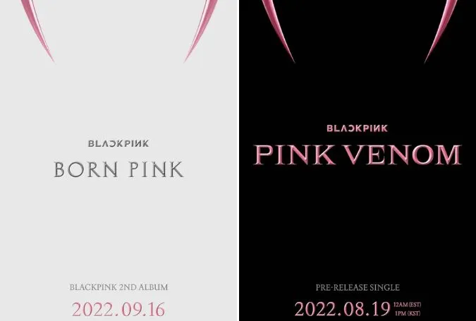 YG giải thích tên album 'Born Pink', khẳng định sự tồn tại độc đáo của BLACKPINK 3