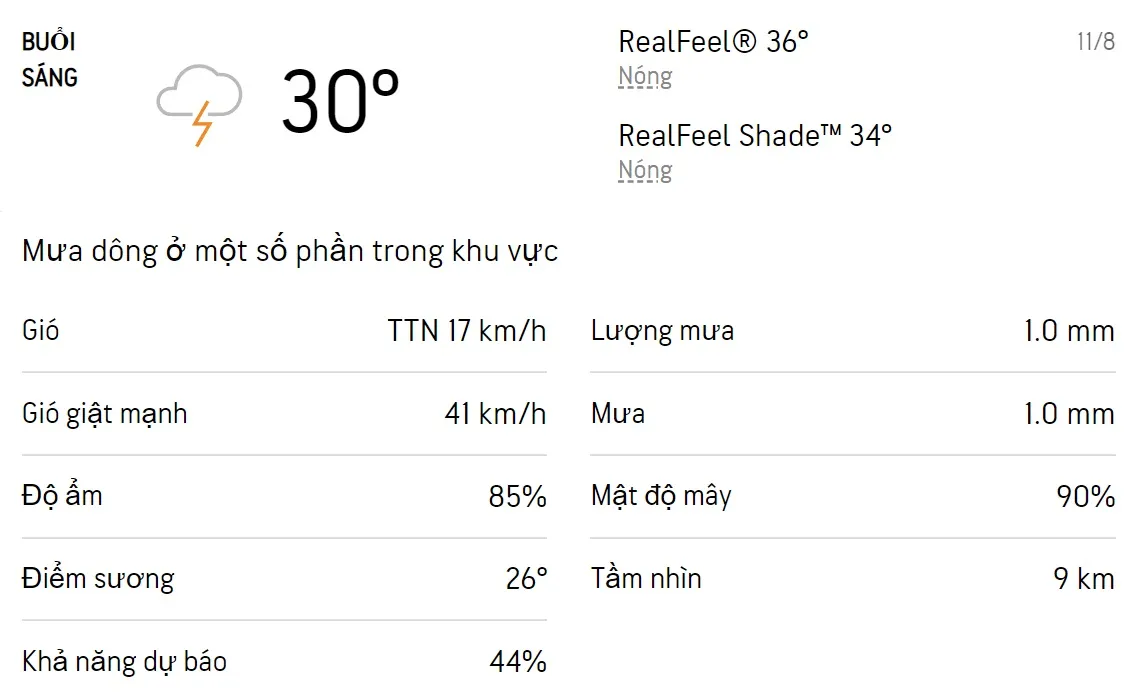 Dự báo thời tiết TPHCM hôm nay 11/8 và ngày mai 12/8/2022: Sáng chiều có mưa dông rải rác 1