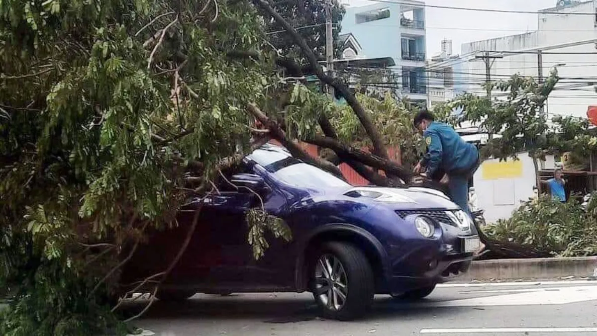 Tin nóng chiều 11/8: Gió quật ngã hàng loạt cây xanh trên đường Võ Văn Kiệt, đè trúng 3 ôtô