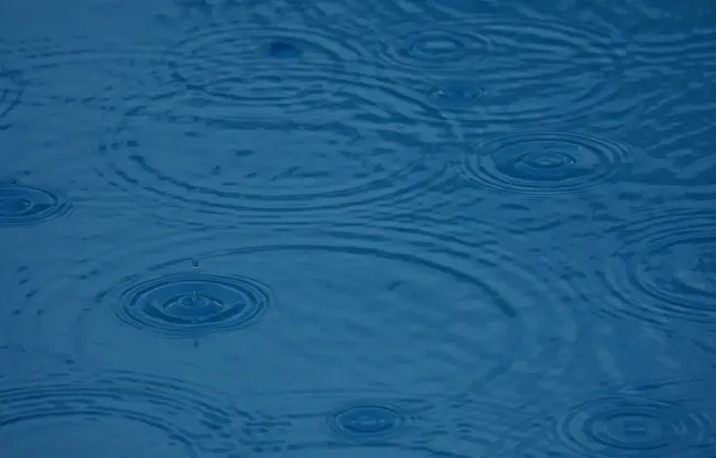 Một nghiên cứu chỉ ra nước mưa ở mọi nơi trên Trái đất đều không an toàn để uống 1
