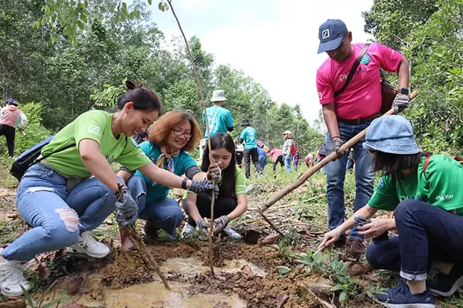 Nỗ lực trồng rừng nhằm bảo vệ một trong những quần thể Voi hoang dã cuối cùng tại Việt Nam