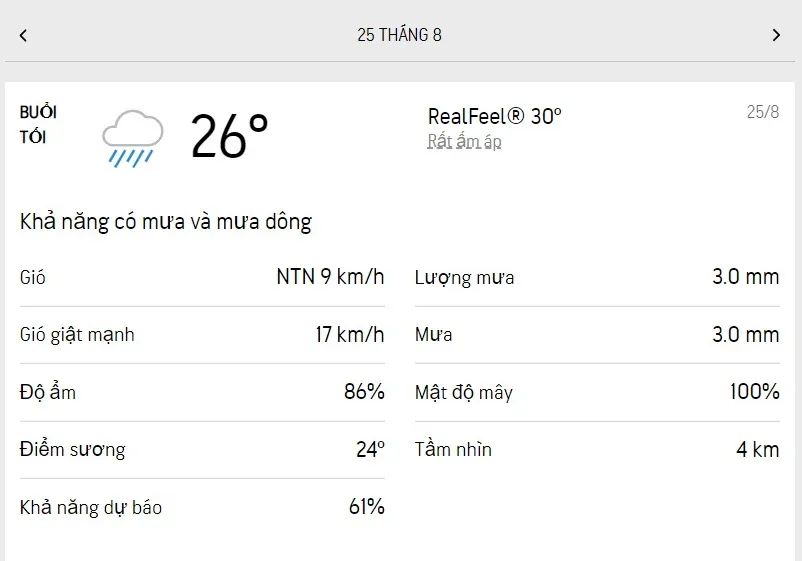 Dự báo thời tiết TPHCM hôm nay 24/8 và ngày mai 25/8/2022: nắng từng cơn, chiều tối có mưa dông 6