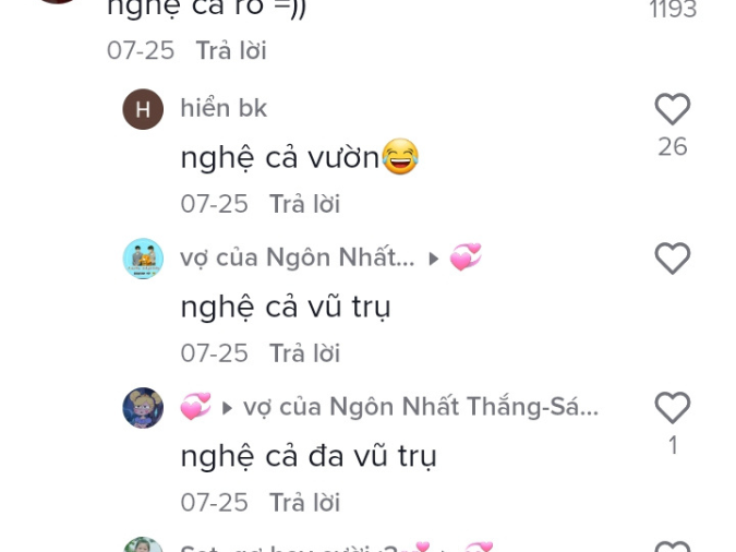 Những ví dụ nổi bật về meme 