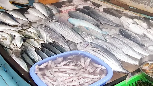 Giá cả thị trường hôm nay 25/8/2022: Giá các loại cá tại siêu thị 1