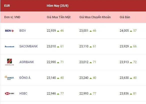 Tỷ giá ngoại tệ hôm nay 25/8/2022: Euro tiếp tục tăng 2