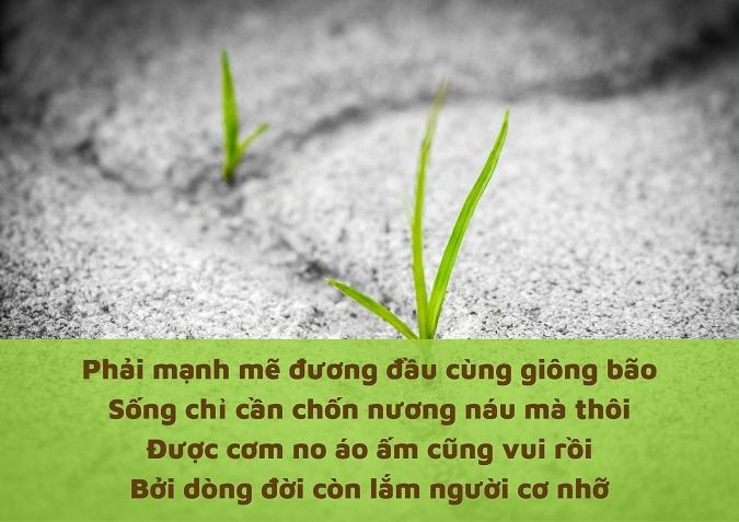 [Image: tho-ve-doi-voh-3.jpg?t=o&w=1024&q=85]