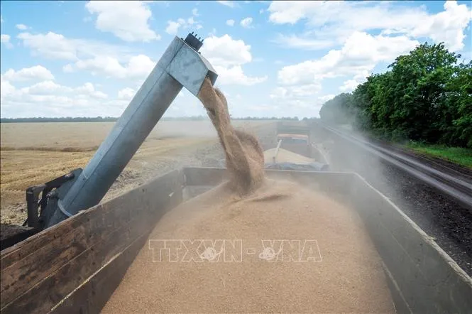 Ukraine tháo điểm nghẽn thiếu thuỷ thủ để thúc đẩy xuất khẩu ngũ cốc