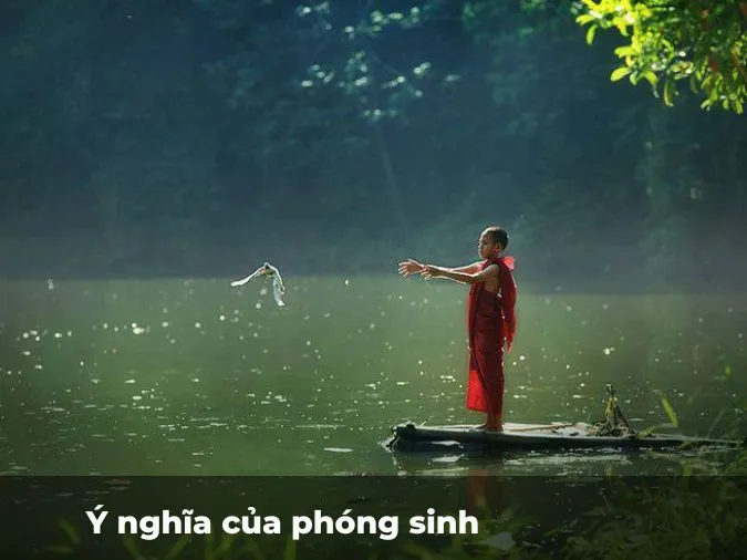 (xong)Phong sinh là gì? Phóng sinh như thế nào cho đúng? 1