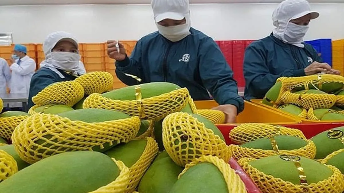 Bản tin thị trường hôm nay: Xuất khẩu rau quả của Việt Nam tăng trưởng mạnh