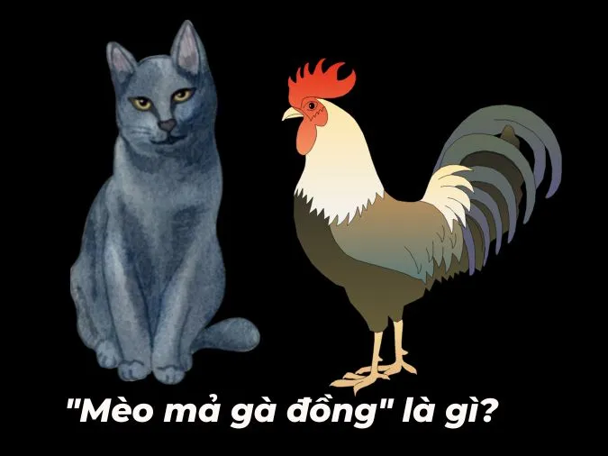 (xong)Ý nghĩa câu “mèo mả gà đồng” là gì? 1