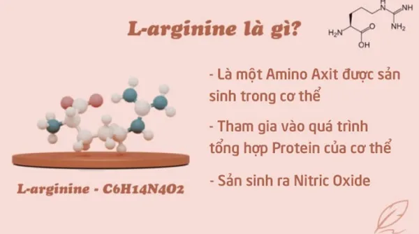 L-Arginine là gì? Một số tác dụng của L-Arginine đối với sinh lý nam giới 1