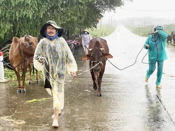 Dự báo thời tiết hôm nay 22/9/2022: Quảng Bình đến Thừa Thiên Huế có mưa to đến rất to 1
