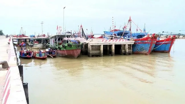 Ứng phó bão số 4: Đến 9 giờ ngày 26/9, 2.500 ngư dân Quảng Nam vẫn còn ngoài khơi 2