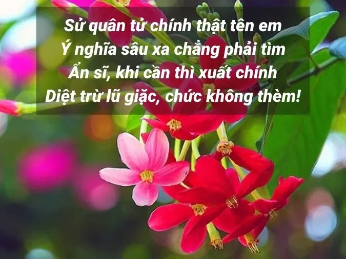 Tổng hợp những bài thơ về hoa sử quân tử ý nghĩa 3