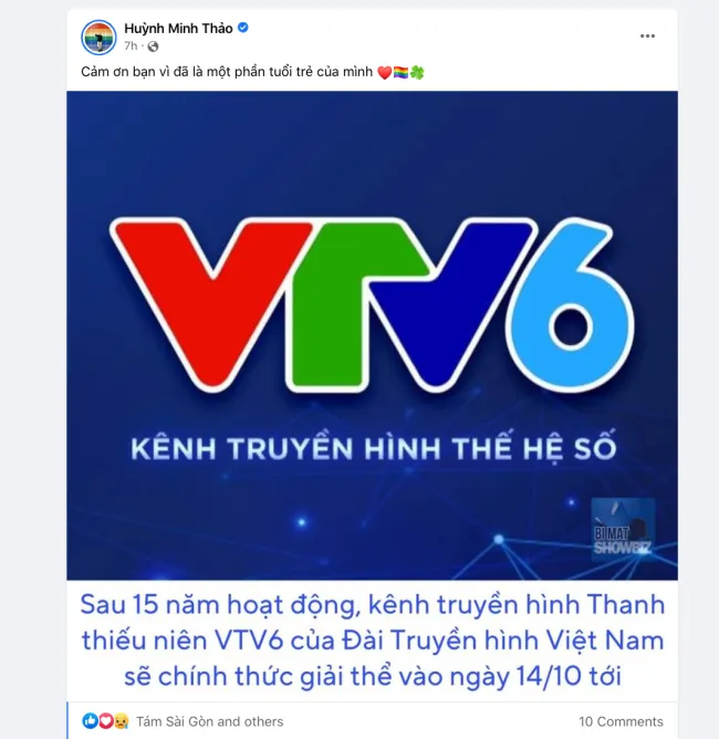 Vì sao VTV6 ngừng phát sóng? 3