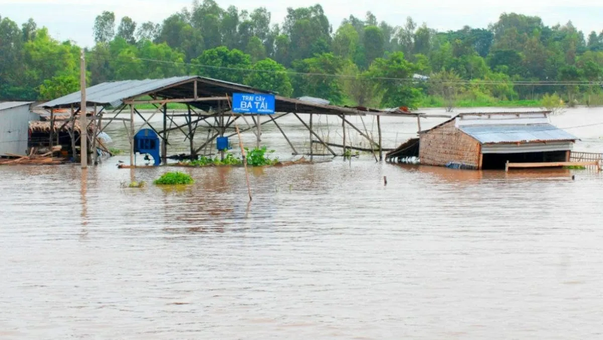 ĐBSCL: Nguy cơ ngập lụt ở vùng trũng các tỉnh hạ nguồn sông Cửu Long