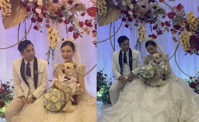 Đám cưới Lý Tuấn Kiệt (HKT): Chú rể ân cần chăm sóc cô dâu, TiTi điển trai đến chúc phúc 10