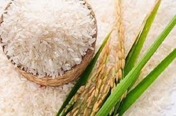 Giá lúa gạo hôm nay 11/10/2022: Thị trường sôi động, giá nếp tăng 1