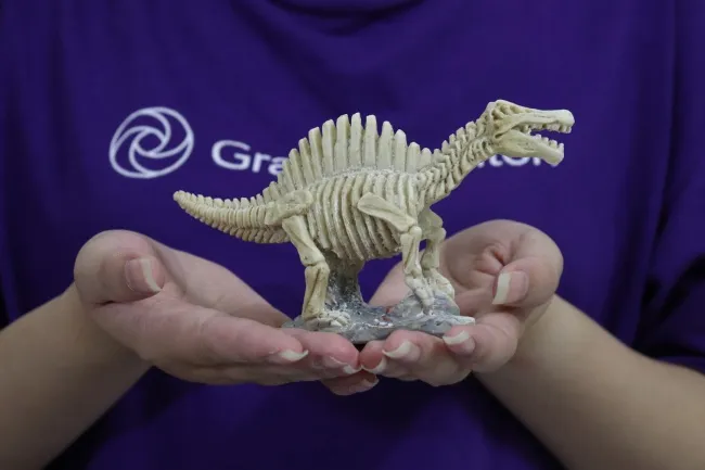 Người trẻ rủ nhau đi đục hoá thạch 3