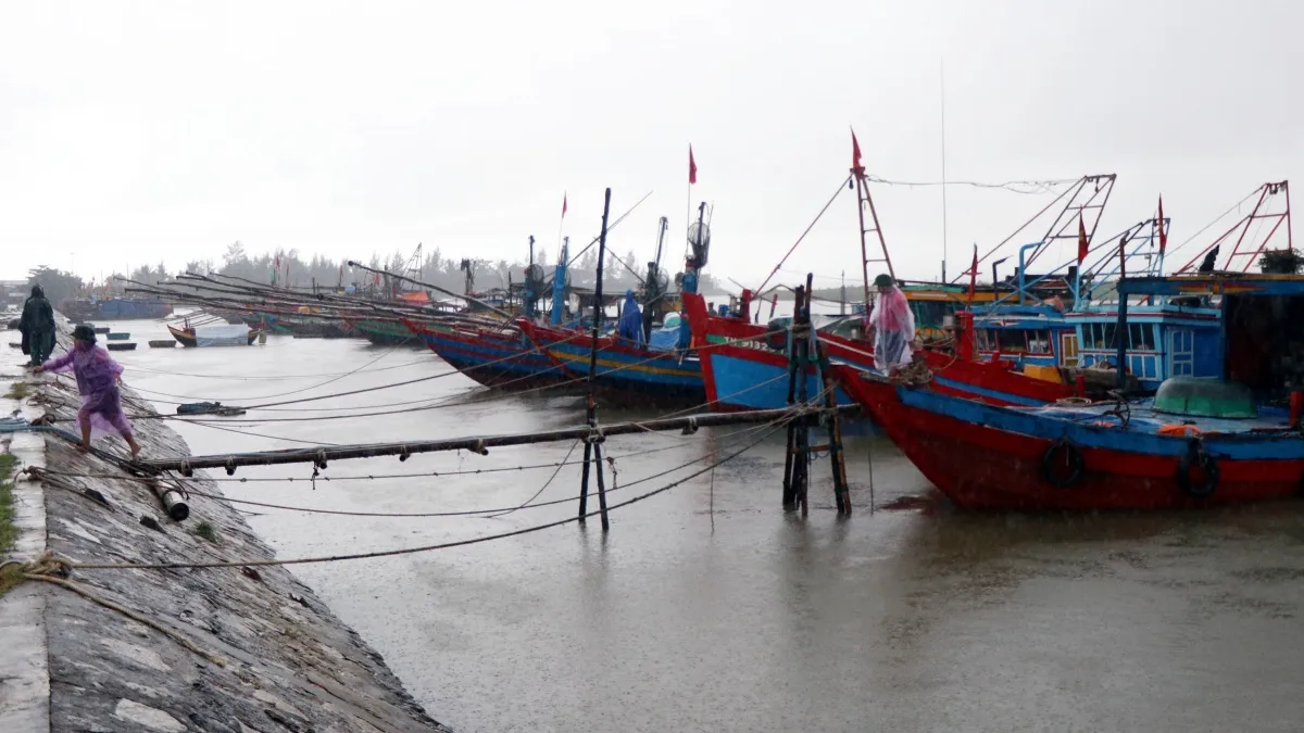 Nhiều tàu thuyền của ngư dân Quảng Nam, Quảng Ngãi đang ở vùng nguy hiểm của bão số 6