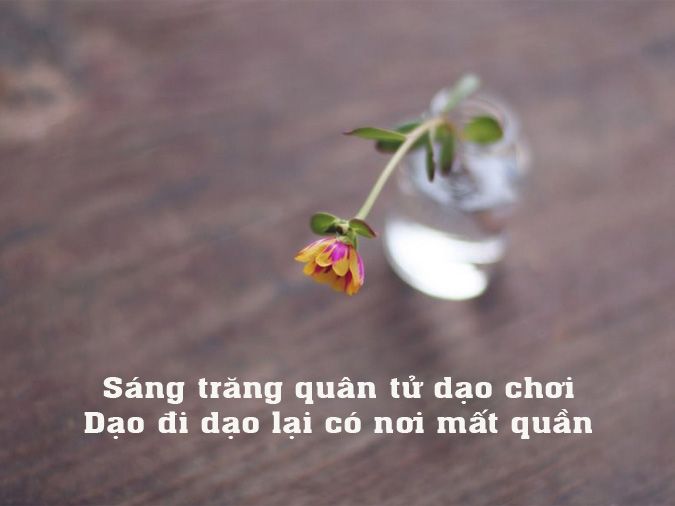 Ca Dao Tục Ngữ Về Nói Xấu - Sự Thật Và Lòng Tự Trọng