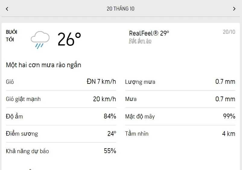 Dự báo thời tiết TPHCM hôm nay 19/10 và ngày mai 20/10/2022: cả ngày nhiều mưa, ít nắng 6