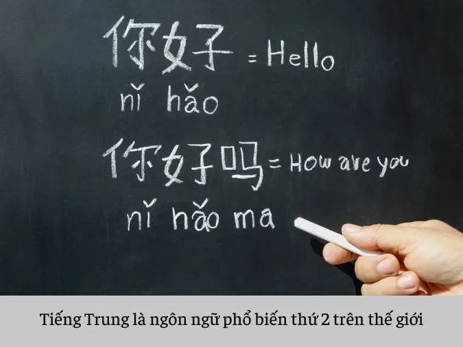 Khám phá top 10 ngôn ngữ phổ biến nhất thế giới hiện nay 4