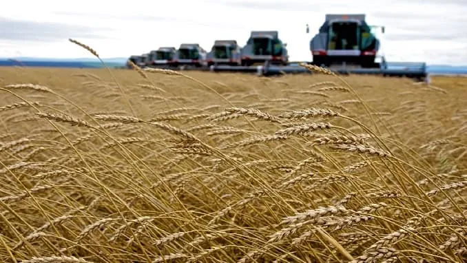 Bản tin thị trường ngày 4/11: Nga công bố thuế xuất khẩu ngũ cốc mới | Giá USD tự do tăng