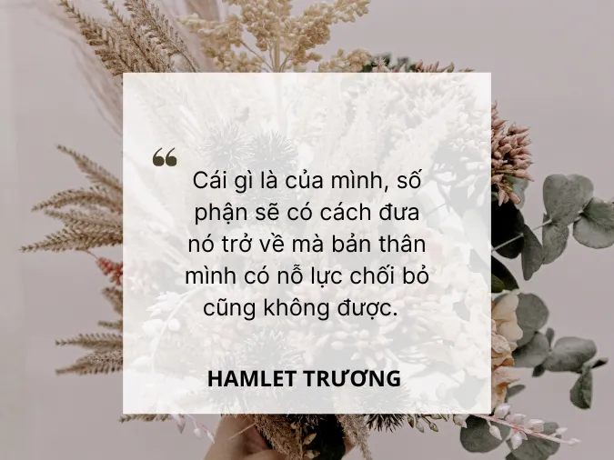 hamlet-truong-voh-16 