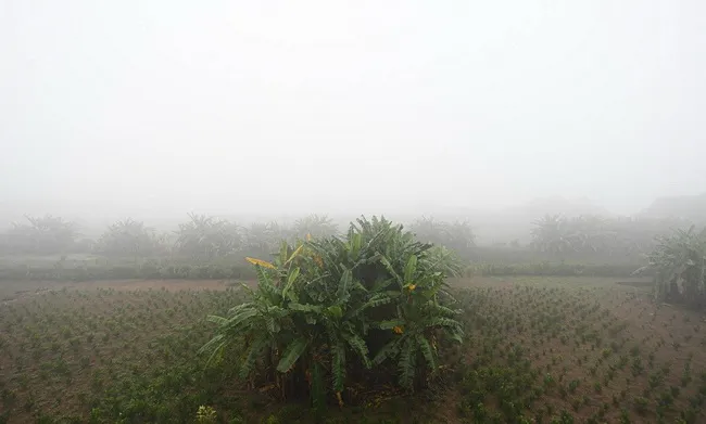Dự báo thời tiết hôm nay 18/11/2022: các tỉnh Trung bộ có mưa rào và dông rải rác 1