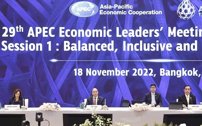 Chủ tịch nước dự Phiên họp hẹp lần thứ nhất tại APEC 29 1