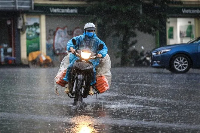 Dự báo thời tiết hôm nay 20/11/2022: Tây Nguyên và Nam Bộ có nơi mưa rất to 1