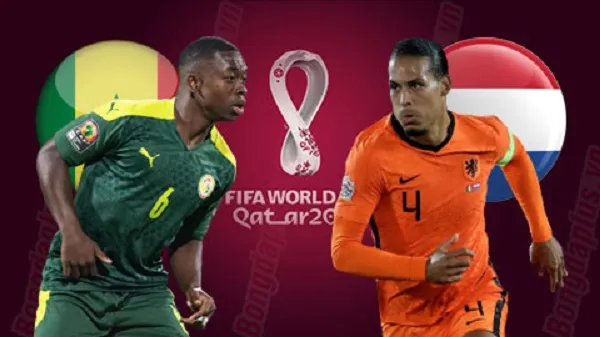 Lịch thi đấu World Cup 2022 hôm nay và rạng sáng mai 22/11: Anh và Hà Lan xuất trận