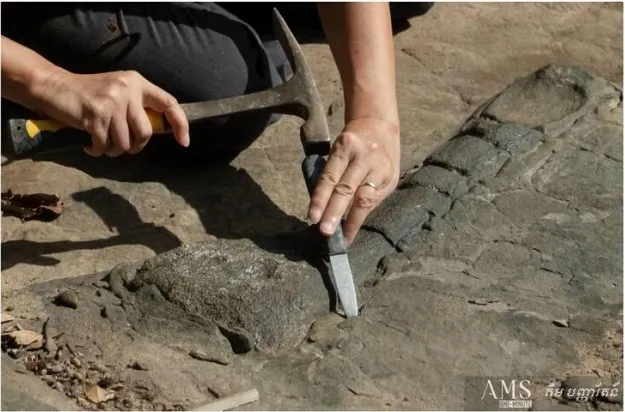 Hóa thạch khủng long đầu tiên được tìm thấy ở Campuchia 2