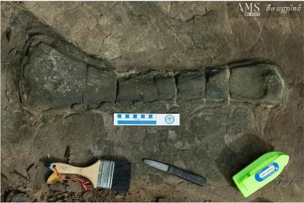 Hóa thạch khủng long đầu tiên được tìm thấy ở Campuchia 3