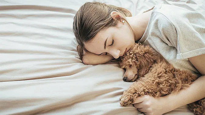 Ôm thú cưng khi ngủ: Nên hay không nên? 1