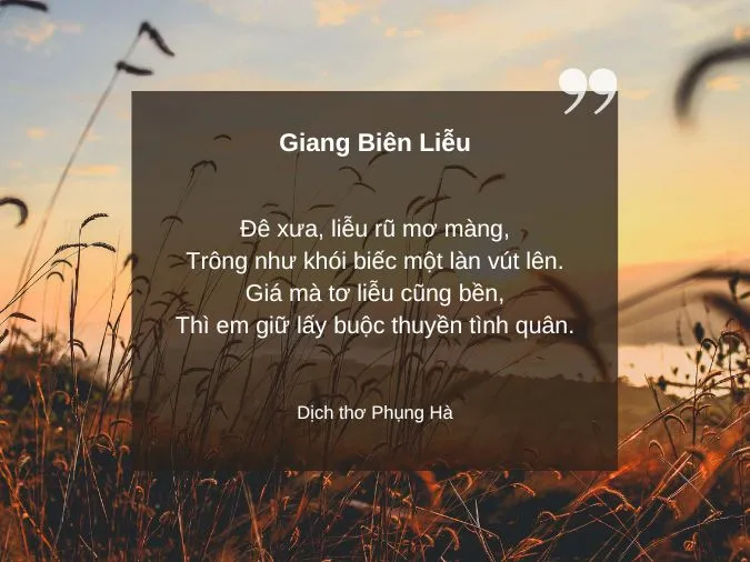 tho-tinh-yeu-don-phuong-voh-7