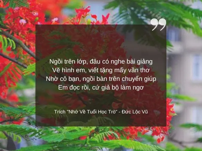 tho-tinh-yeu-don-phuong-voh-9